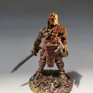 Elf / Ranger / Fighter / Rogue