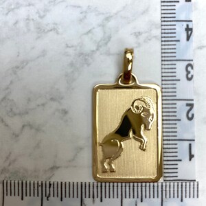 Pode incluir: Pingente dourado com uma representa&ccedil;&atilde;o detalhada do signo do zod&iacute;aco &Aacute;ries, um carneiro, dentro de uma moldura retangular. O pingente mede aproximadamente 2,5 cm de comprimento.