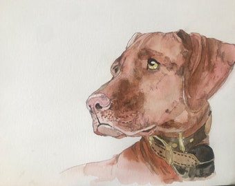 Personalisiertes Hunde- oder Haustierportrait - Original Aquarell