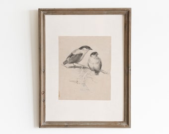 Bird antique sketch. Sparrow art PRINTABLE. Neutral bird vintage print. Muted nursery decor. Farmhouse decor. Printable wall art