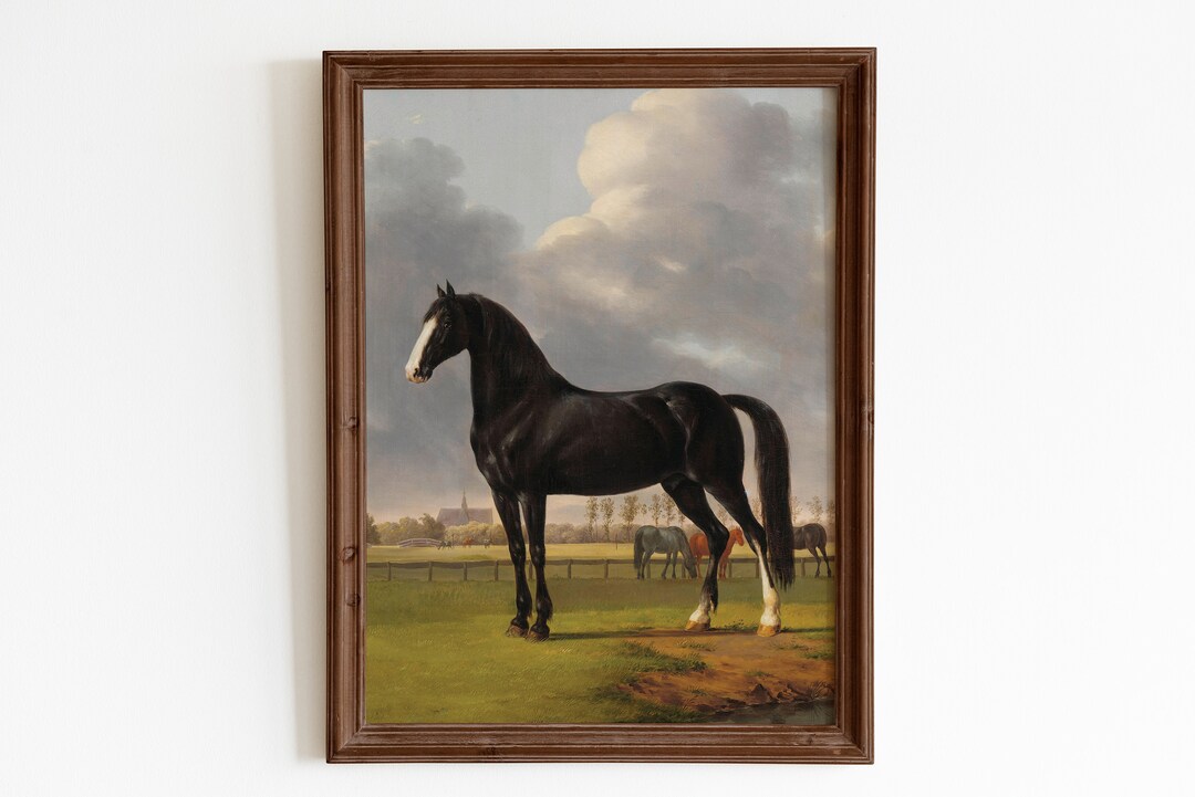 Black Horse Antique Printable Art. Black Horse Vintage Etsy
