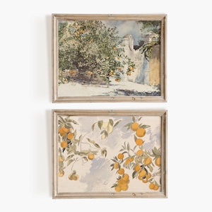 Antique Orange Tree Watercolor Prints: Spanish Kitchen Gallery Wall (Digital Download)