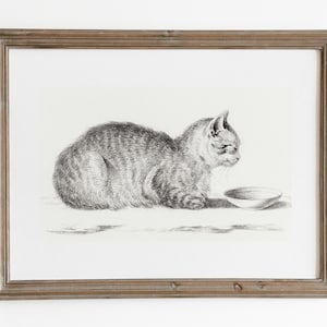 Antique cat PRINTABLE art. Vintage cat sketch. Cat sleeping drawing. Pet sketch print. Nursery decor. Farmhouse decor. Downloadable art