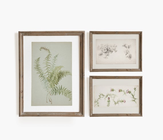 Antique 3 Piece Wall Art. Botanical Print Set. Minimalist | Etsy