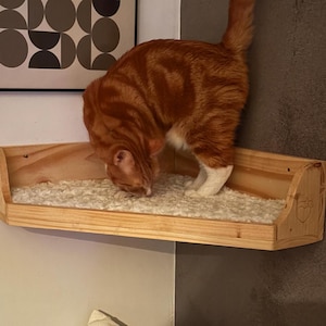 May include: A wooden cat bed with a white fluffy cushion. A ginger cat is sitting on the edge of the bed, looking down at the cushion.