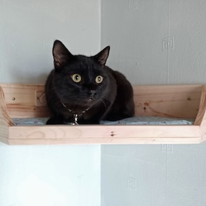May include: A black cat with yellow eyes sits on a wooden cat bed shelf. The shelf is mounted in a corner of a white wall.