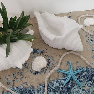 Gran concha decorativa de hormigón o cerámica | Decoración náutica de verano, blanca | Portavelas o maceta para suculentas