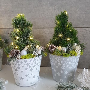 Può includere: Due piccoli alberi di Natale artificiali in vasi grigi e bianchi a forma di stella. Ogni albero è adornato con luci di fata, pigne e accenti decorativi. I vasi sono su una superficie bianca, con un muro grigio sullo sfondo.
