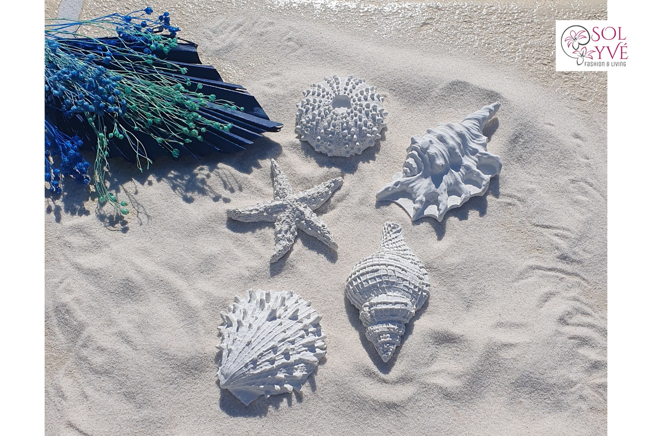 Set of 5 white decorative shells. Maritime decorations made of starfish, sea urchins, snails, and shells. Summer beach decorations