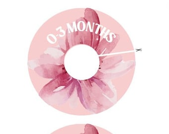 Baby Girl's Closet Organizer: Size-Sorted & Seasonal Clothing System