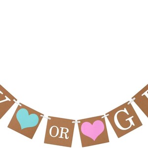 以下が含まれることがあります： 「BOY OR GIRL」の文字と青とピンクのハートが描かれた茶色の紙製のジェンダーリビールバナーです。