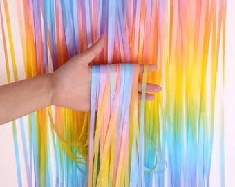 Pastel Rainbow Foil Fringe Curtain: Party Photo Booth Backdrop