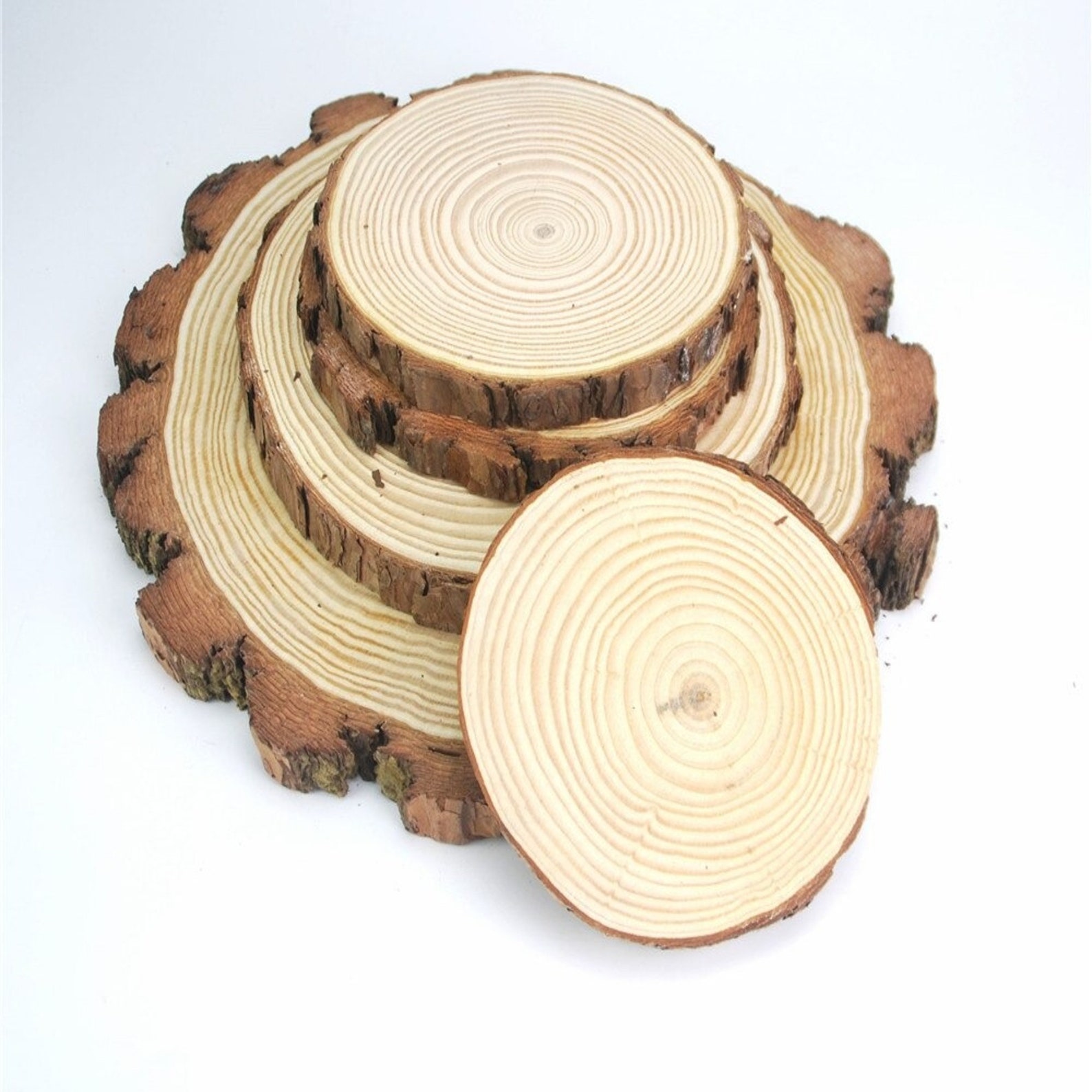Amazing Natural Round Wood Slices Circles Tree Bark Log Discs Etsy