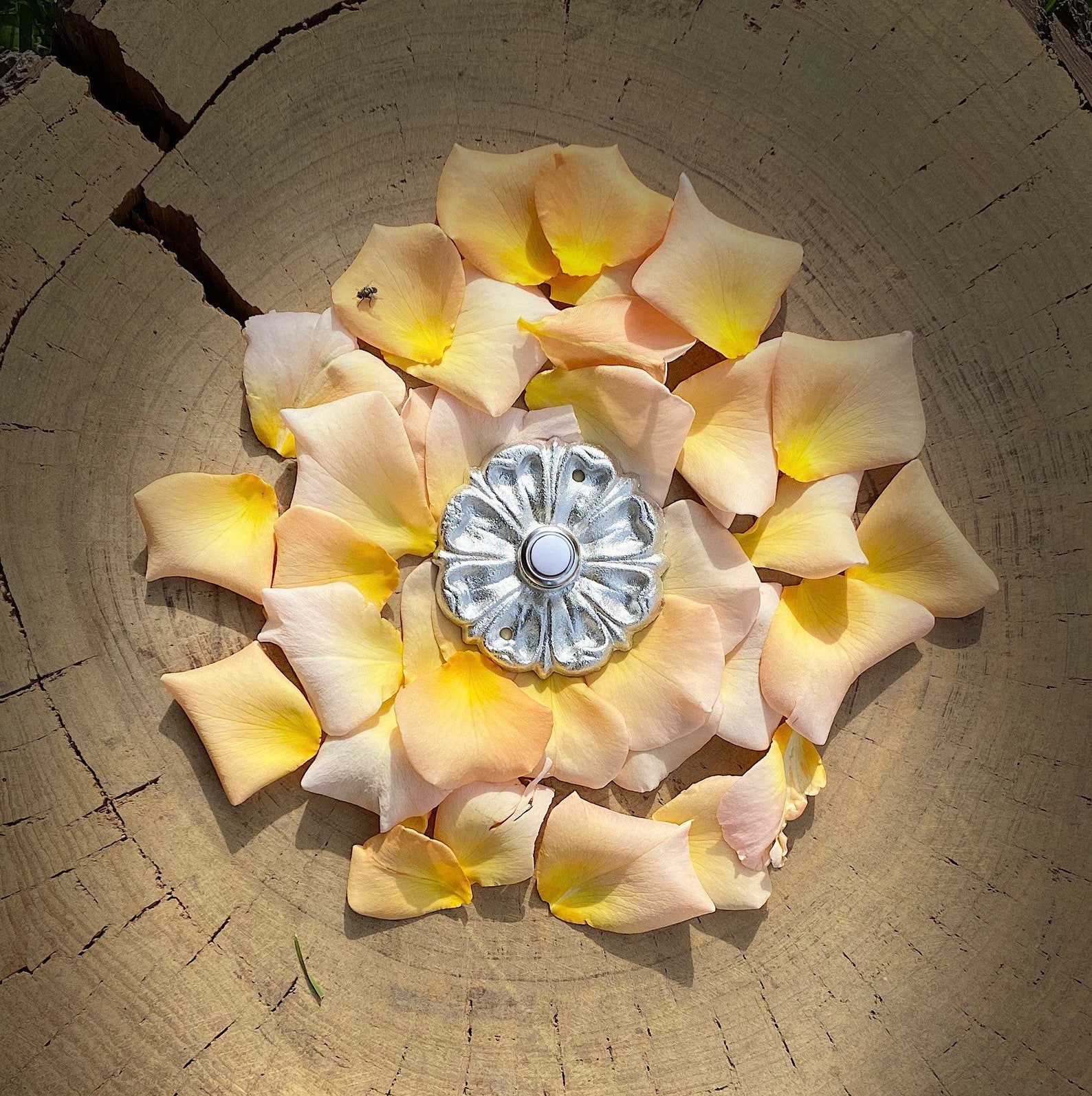 Mirrored Flower Doorbell Etsy