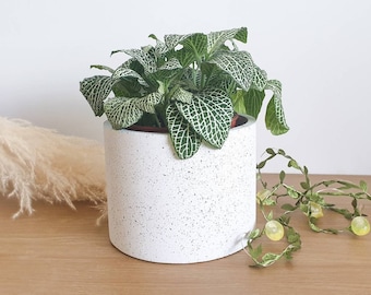 Terrazzo Plant Pot, Home Decor, Stone Effect Pot, Modern House-warming Gift, Birthday Gifts for Her, Large Planter, Home Accessories