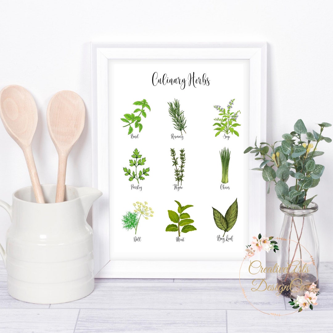 Culinary Herbs Printable Kitchen Art Herbs Wall Art Etsy
