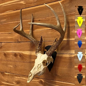 May include: A white deer skull with antlers mounted on a black wall mount. The mount is shaped like an arrowhead and is available in a variety of colors.