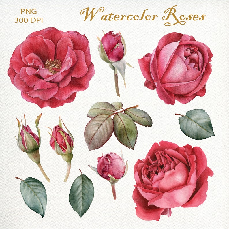 Watercolor roses clipart set bouquets wreath. 18 floral | Etsy