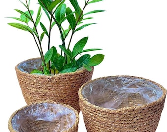 Woven Seagrass Plant Basket Set, Rustic Home Decor