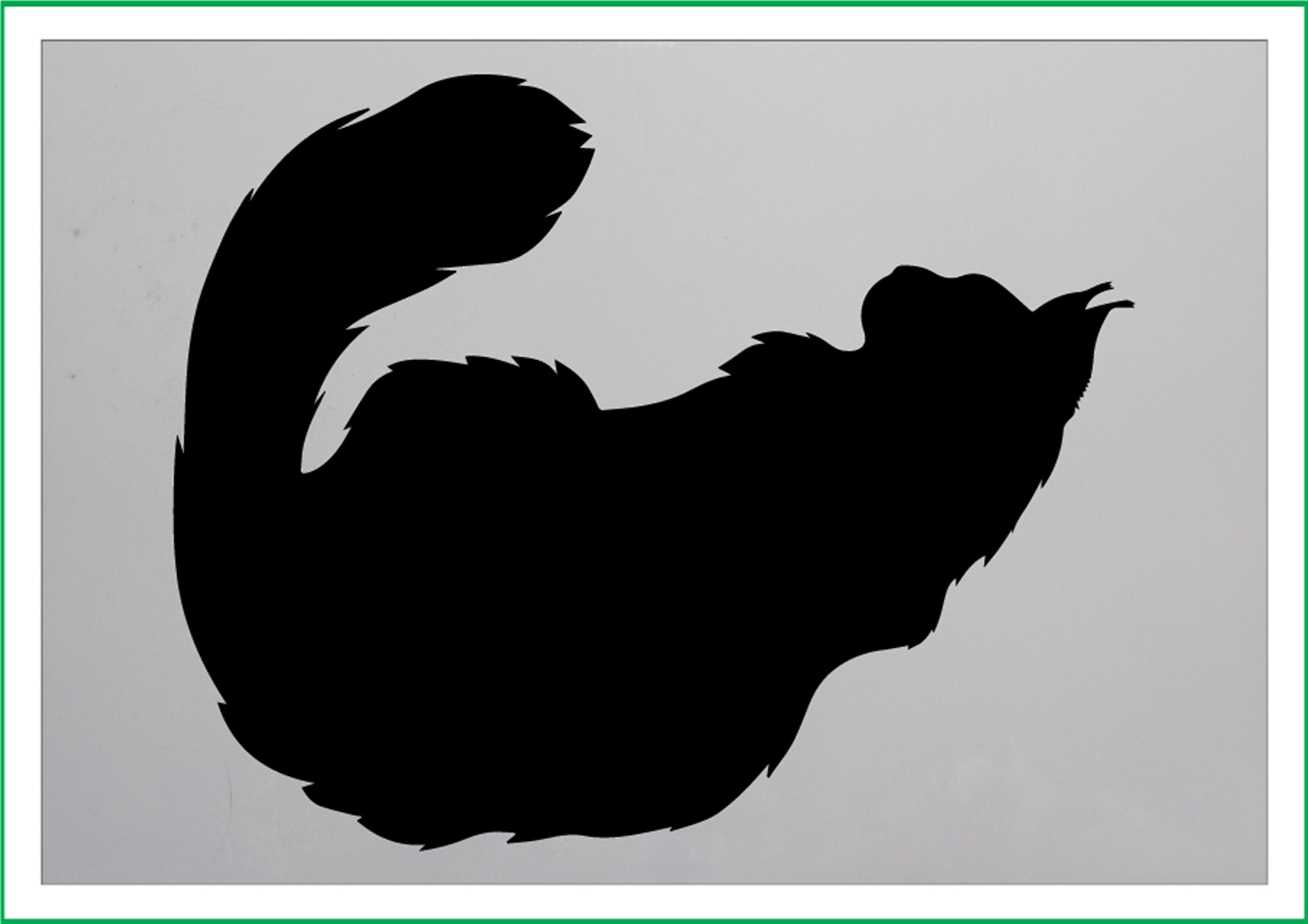 FLUFFY CAT SILHOUETTE mylar Stencil 190 micron Mylar A4 A3 A2 | Etsy