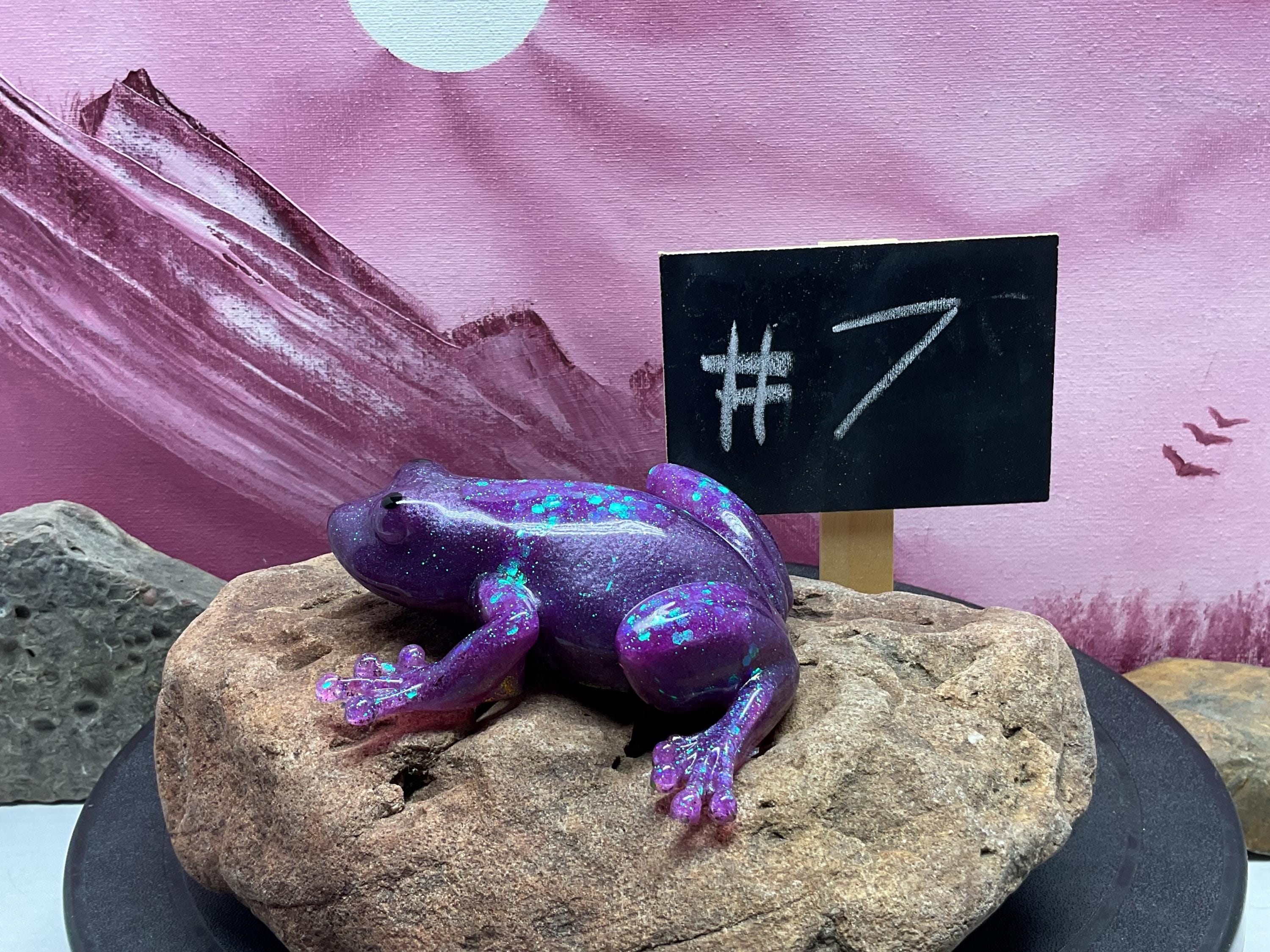 生体）バンゾリーニヤドクガエル一部地域は航空便にてお届け(商品, image size:3000x2250