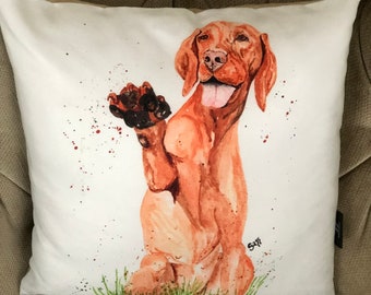 vizsla stuff