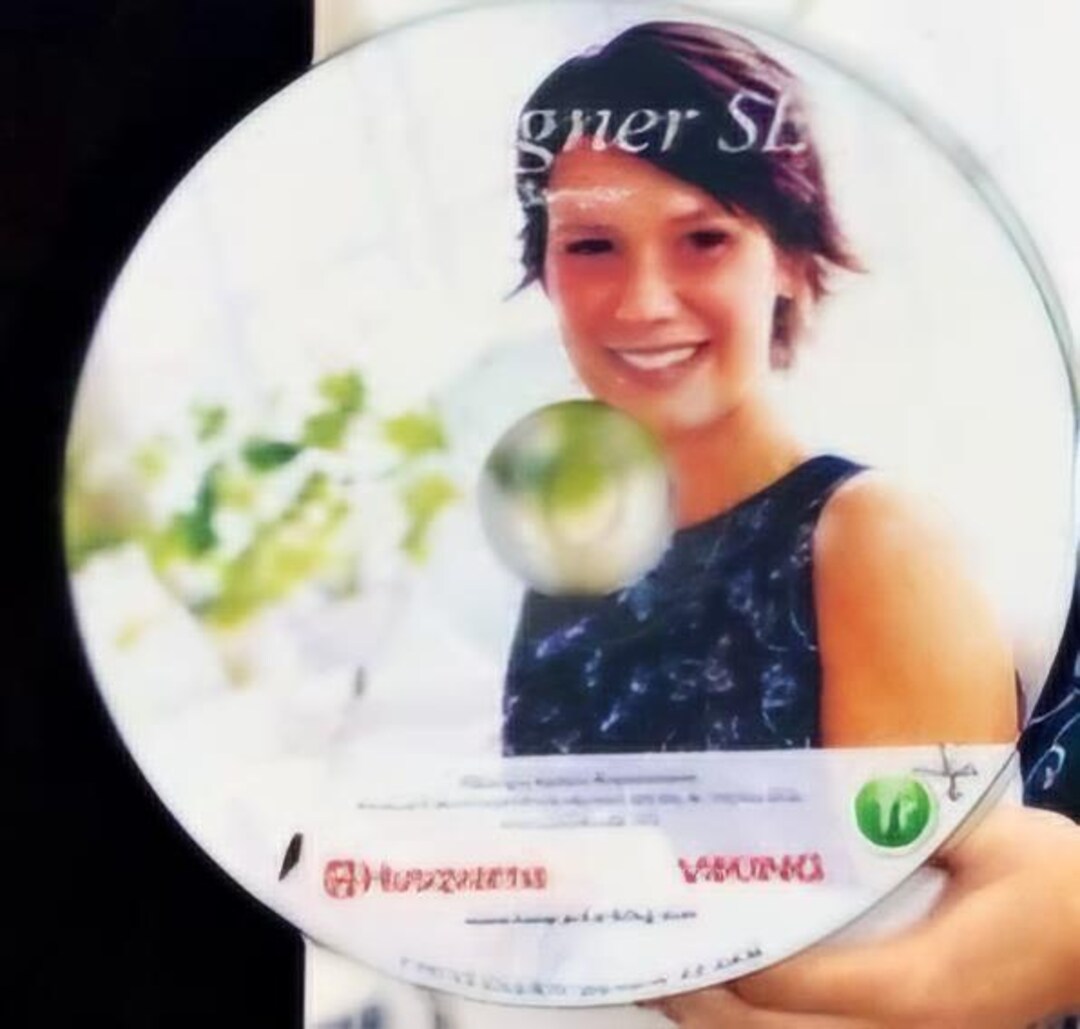 Husqvarna Viking Designer SE Sampler CD and Templates....new - Etsy