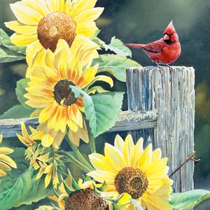 Cardinal & Sunflower Panel - Gorgeous by David textiles