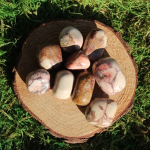 May include: A collection of eight tumbled stones with pink, white, and brown swirling patterns. The stones are arranged on a wooden slice.