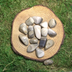 May include: A collection of polished, tumbled stones in shades of cream, tan, and gray, with unique banding patterns. The stones are arranged on a round, wooden slice, set against a backdrop of green moss.