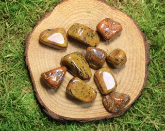 Tiger Tail Jasper Tumbled