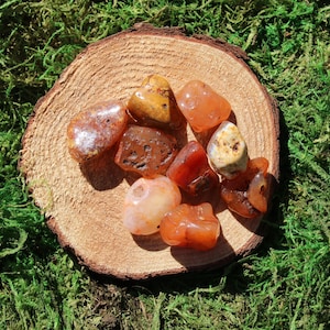May include: A collection of carnelian tumbled stones in various shades of orange, red, and brown. The stones are arranged on a wooden slice, surrounded by green moss.