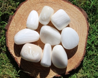 May include: A collection of eight white selenite tumbled stones arranged in a circle on a wooden surface. The stones are smooth and have a silky, striated texture.
