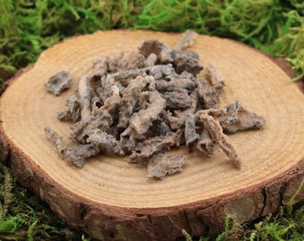 Fulgurite Raw Morocco  Small Incomplete Bits