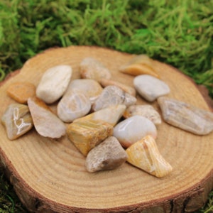 Coral Agate Tumbled and Polished, Medium