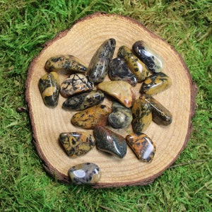 May include: A collection of tumbled leopard skin jasper stones in shades of brown, yellow, and black. The stones are arranged on a wooden surface.