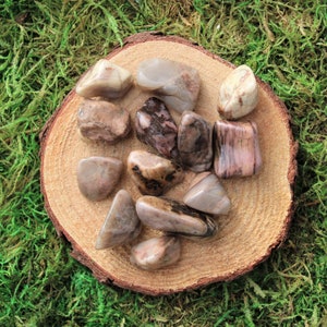 Bustamite Tumbled