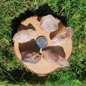 May include: Five pink and clear quartz crystals on a wooden slice. The crystals are various sizes and shapes. A US quarter is included for scale.