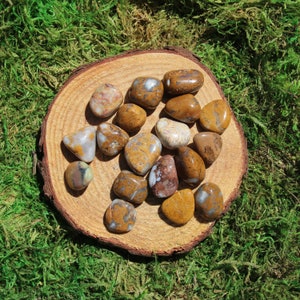May include: A collection of tumbled stones with brown, white, and yellow patterns. The stones are arranged on a wooden surface.