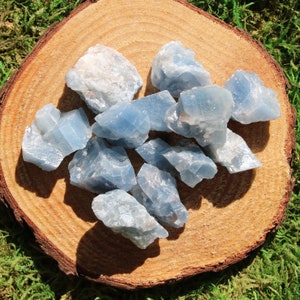 May include: A collection of blue celestite crystal roughs on a wooden surface. The crystals are various sizes and shapes, with a light blue color and a translucent appearance.