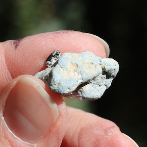 Neptunite with Natorlite and Crossite Single Piece #A