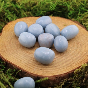 May include: A collection of smooth, sky-blue tumbled stones arranged on a circular wooden slice, surrounded by green moss. The stones vary slightly in shape and size, with a soft, polished appearance. The natural setting enhances the stones' color.