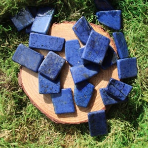 May include: A collection of blue lapis lazuli stones, each cut into a rectangular shape, arranged on a wooden surface covered in green moss.