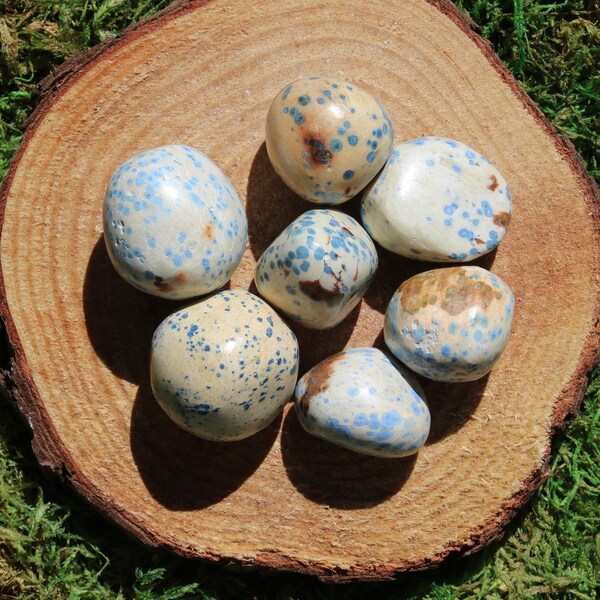 Blue Dalmatian Medium Tumbled