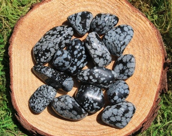 Snowflake Obsidian • Tumbled & Polished • Grounding Protection Stone ~ Medium