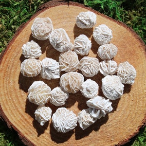 May include: A collection of desert rose selenite crystals, showcasing a natural, rosette-like formation. The crystals are a creamy white and tan color, arranged on a wooden slice, with green moss in the background. These unique mineral specimens are ideal for collectors.