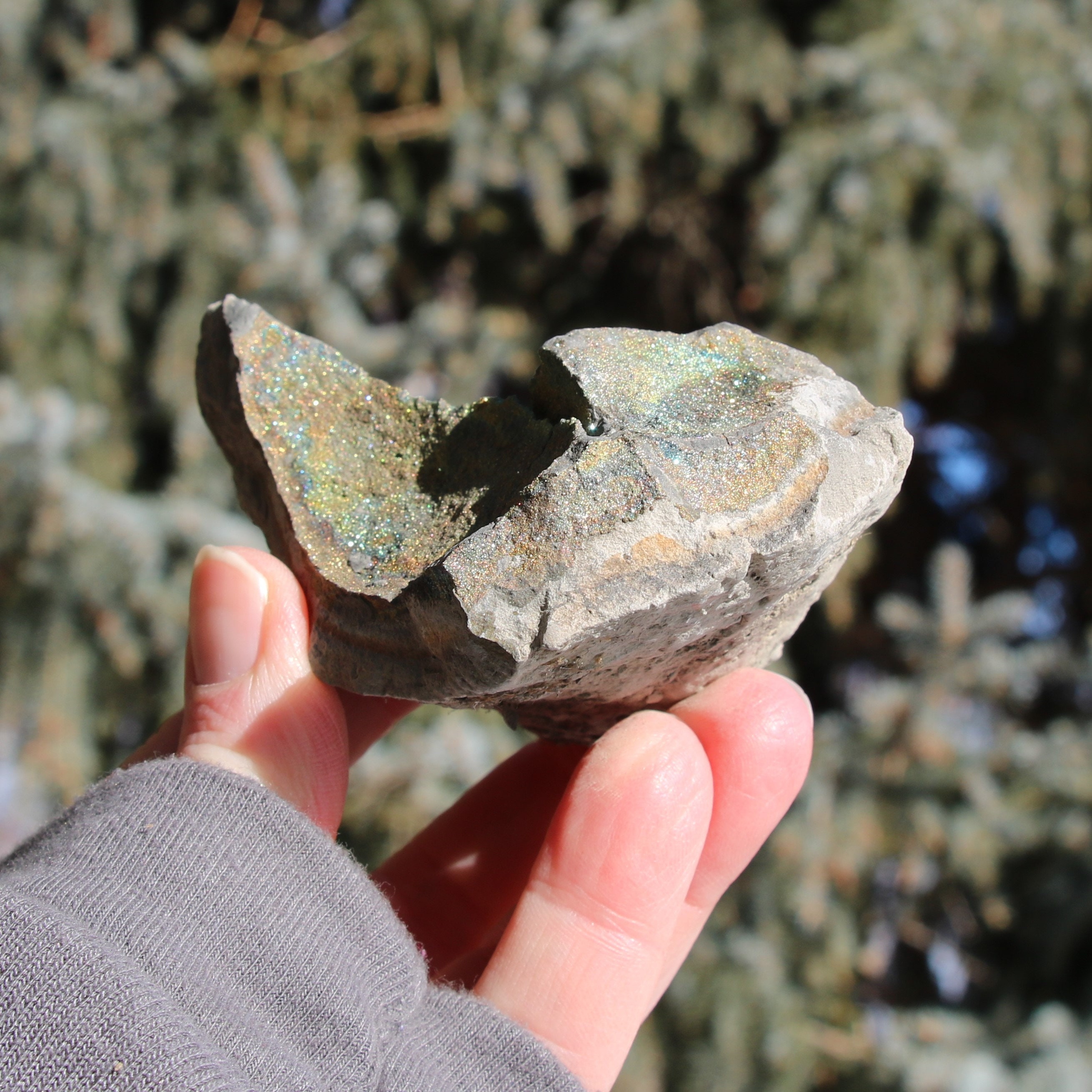Boji Stone - Etsy