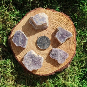 May include: Five pieces of purple lepidolite crystals on a wooden surface. The crystals are various sizes and shapes. A US quarter is included for size reference.