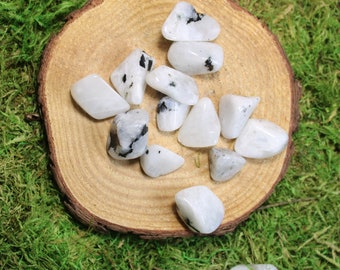 Blue Flash Moonstone Medium Tumbled