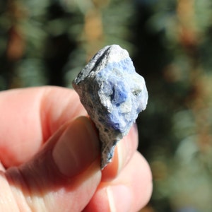 May include: A small, rough, blue crystal with a white matrix. The crystal is pointed and has a slightly irregular shape.